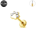 Piercing labret de titanio G23 dorado con diseño de huella de circón y base plana - Estilo de Pata Dorada (G23LAP175-G1208)