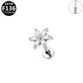 ASTM F136 Titan Blumen-Ohrstecker mit Marquise-Zirkonia und silbernem Finish - 5-Blütenblatt-Blumenstil - Silber (G23LAP621-S1208153)
