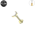 Golden G23 titanium crescent moon stud earring with sparkling stones and flower base - Gold Moon Style (G23LAP638-G100604075)