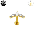 ASTM F136 titanium gold internal thread labret with 5-stone crown zircon studs - Crown Five-stone Gold Style (G23LAI764-G1208105)