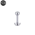 ASTM F136 titanium flat back stud earring with a clear zircon round crystal top - Bezel Rhinestone Labret Stud (G23LAE103-S120803015) / Silver (G23LAE103-S120803015)