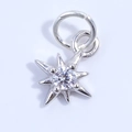 Macro shot of S925 silver star pendant featuring a brilliant four-prong round zircon - White Gold / White Zircon