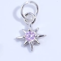 Macro view of S925 sterling silver star pendant with center pink zircon stone inlay - White Gold/Pink Zircon