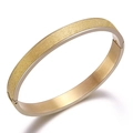 Minimalist 18K gold-plated 8mm frosted titanium steel bangle with a secure clasp hinge - Gold