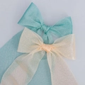 Elegant 4cm sheer organza ribbons in mint green and champagne for DIY gift packaging - Finished Bow