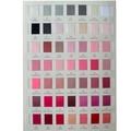 Nuancier détaillé pour ruban en polyester double face de 3 mm avec 49 nuances variées - Couleurs Diverses Contacter pour Sélection