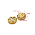 Golden stainless steel shell charms with white pearls for DIY jewelry making 26mm - Light Green Gold Shell (F2722)