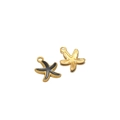 Starfish charms in gold and black enamel for DIY necklaces and earring accessories - Gold Starfish Black Enamel