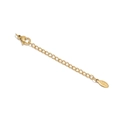 18K vergoldete Edelstahl 5cm Verlängerungskette mit Karabinerverschluss und Tag - Graviert Oval Gold