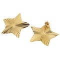 Golden star-shaped stainless steel earrings with radiant textured finish on white background - Embossed Star Gold