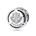 Abalorio Nutrition de plata S925 con corazones huecos y emblema de escudo médico pulido - Estilo Nutrición (PC0251)