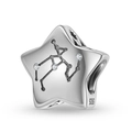 S925 sterling silver star-shaped zodiac charm bead with Aquarius pattern and zircon stones - Sagittarius Style (PC1750-9)