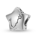 S925 sterling silver star charm with zodiac pattern and sparkling cubic zirconia stones - Pisces Style (PC1750-12)