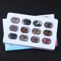 Set of 12 hand-carved natural gemstone pig figurines in various colorful stones - India Agate