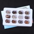 Set of 12 multi-color gemstone pig figurines in a white display tray for collectors - Natural Agate