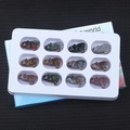 Set of 12 hand-carved natural gemstone wolf figurines in various colors with a display box - India Agate