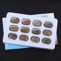 Set of 12 hand-carved natural gemstone wolf animal figurines in a blue display box - Unakite