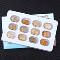 Set of 12 multi-colored carved semi-precious stone pigs in a white display tray - Yellow Jade