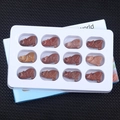 Set of 12 hand-carved red jasper wolf animal figurines in a white display tray - Purple Aventurine