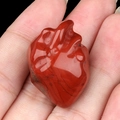 Red Jasper stone carved in a human heart shape with natural black veins and polished finish - Red Jasper