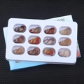 Set of 12 hand-carved natural gemstone wolf animal figurines in a blue display box - Colored Jade