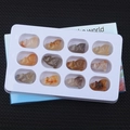 Set of 12 hand-carved natural agate pig figurines displayed in a white organizer tray - Natural Agate