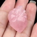 Anatomical heart sculpture carved from natural rose quartz stone held in hand - Rose Quartz