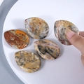 Polished natural agate thumb stone with unique teardrop shape and layered textures - Crazy Agate