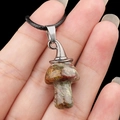 Natural stone mushroom necklace with silver witch hat pendant on black cord - African Blood Stone