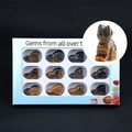Set of 12 hand-carved tiger eye owl figurines in a window display gift box - Tiger's Eye