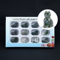 Set of 12 hand-carved gemstone cat figurines in a blue display box with various natural stones - India Agate