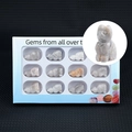 Set of 12 hand-carved natural crystal cat figurines in a blue collection display box - White Crazy Lace Agate