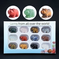 Set of 12 polar bear crystal carvings in assorted natural gemstones with display box - 1 Inch Multicolor