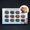 Set of 12 tiger eye stone bear carvings in a window display gift box for home decor - 1 Inch Tiger Eye
