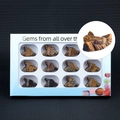 Tiger Eye stone wolf head figurines set in a white display gift box for decoration - Tiger Eye