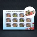 Set of 12 natural unakite stone fish carvings in a white window display box - Unakite