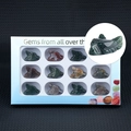 Set of 12 natural gemstone wolf head carvings in a white windowed gift box collection - Indian Agate