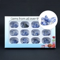 Set of 12 natural sodalite wolf head stone carvings in a blue gift display box - Blue Spot Jasper