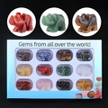 Set of 12 natural crystal rhinoceros gemstone carvings in a blue window display gift box - Multicolor
