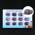 Set mit 12 handgeschnitzten Amethyst Kristall Schildkröten in einer blauen Geschenkbox - Amethyst (1in Schildkröten-Box-Set)