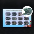 12-piece set of natural gemstone animal carvings in a gift box with a transparent window - India Agate