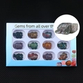 Set of 12 hand-carved natural gemstone turtles in various crystals and colors - Indian Agate (1in Turtle Box Set)