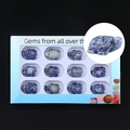 Set of 11 hand-carved natural sodalite crystal turtle figurines in a display gift box - Blue Spot Jasper (1in Turtle Box Set)