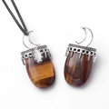 Tijgeroog ketting hanger met zilveren maan motief aan een zwart koordje - Tijgeroog (Met Koord)