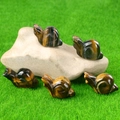 Five mini tiger eye stone snail figurines with natural golden textures on green grass - Tiger's Eye