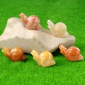 Five-piece set of mini crystal snail carvings in assorted gemstone colors on grass - Yellow Jade