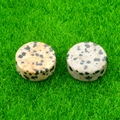 Two flat round Dalmatian Stone cabochons with black spots on green grass background - Dalmatian Jasper (1pc)