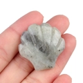 Pietra di labradorite grigia naturale scolpita a mano in una forma di conchiglia - Labradorite