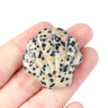 Intaglio di conchiglia in pietra naturale maculata per decorazione fai-da-te - Diaspro dalmata
