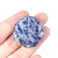 Sculpture de coquillage en sodalite bleue naturelle avec marbrure blanche en main - Sodalite
